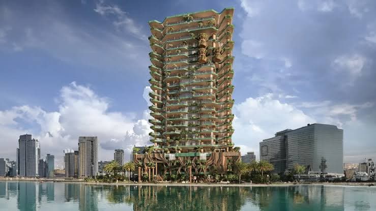 R.evolution Developer-1