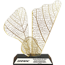 Damac Corporate Broker Q1 2024