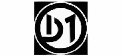 developer logo