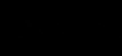 developer logo