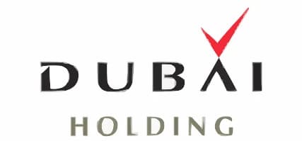 developer logo
