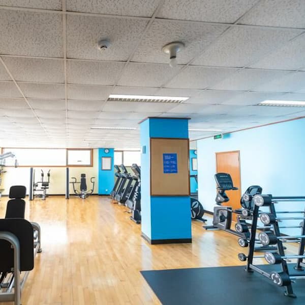 watermark - 2024-08-14T231551.627-2